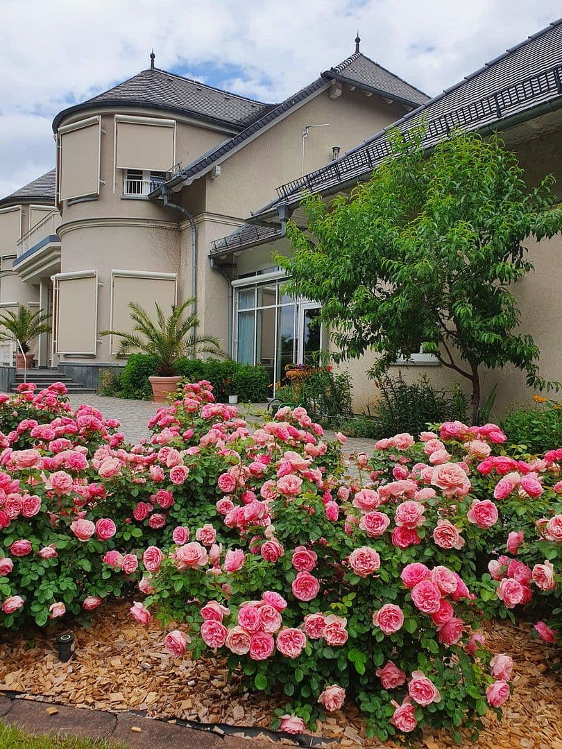 Prodej domu 1.082 m², pozemek 9.536 m², Kolkwitz, Braniborsko Prodej domu 1.082 m², pozemek 9.536 m², Kolkwitz, Braniborsko