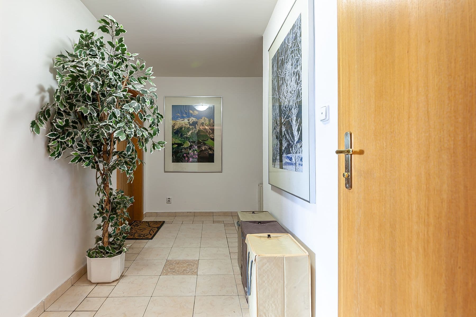 Prodej bytu 4+1 138 m², Vršovické náměstí, Praha, Praha Prodej bytu 4+1 138 m², Vršovické náměstí, Praha, Praha