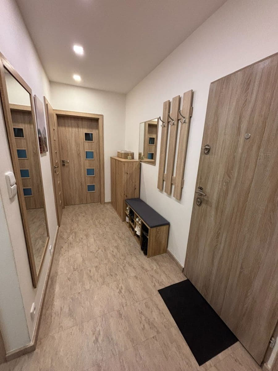 Pronájem bytu 2+1 56 m², Kotěrova, Brno, Jihomoravský kraj Pronájem bytu 2+1 56 m², Kotěrova, Brno, Jihomoravský kraj