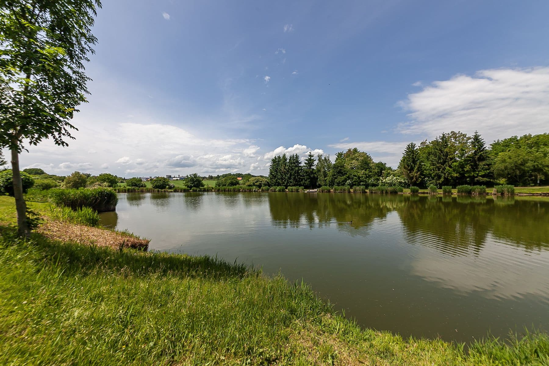 Prodej pozemku 1.636 m², Odolena Voda, Středočeský kraj Prodej pozemku 1.636 m², Odolena Voda, Středočeský kraj