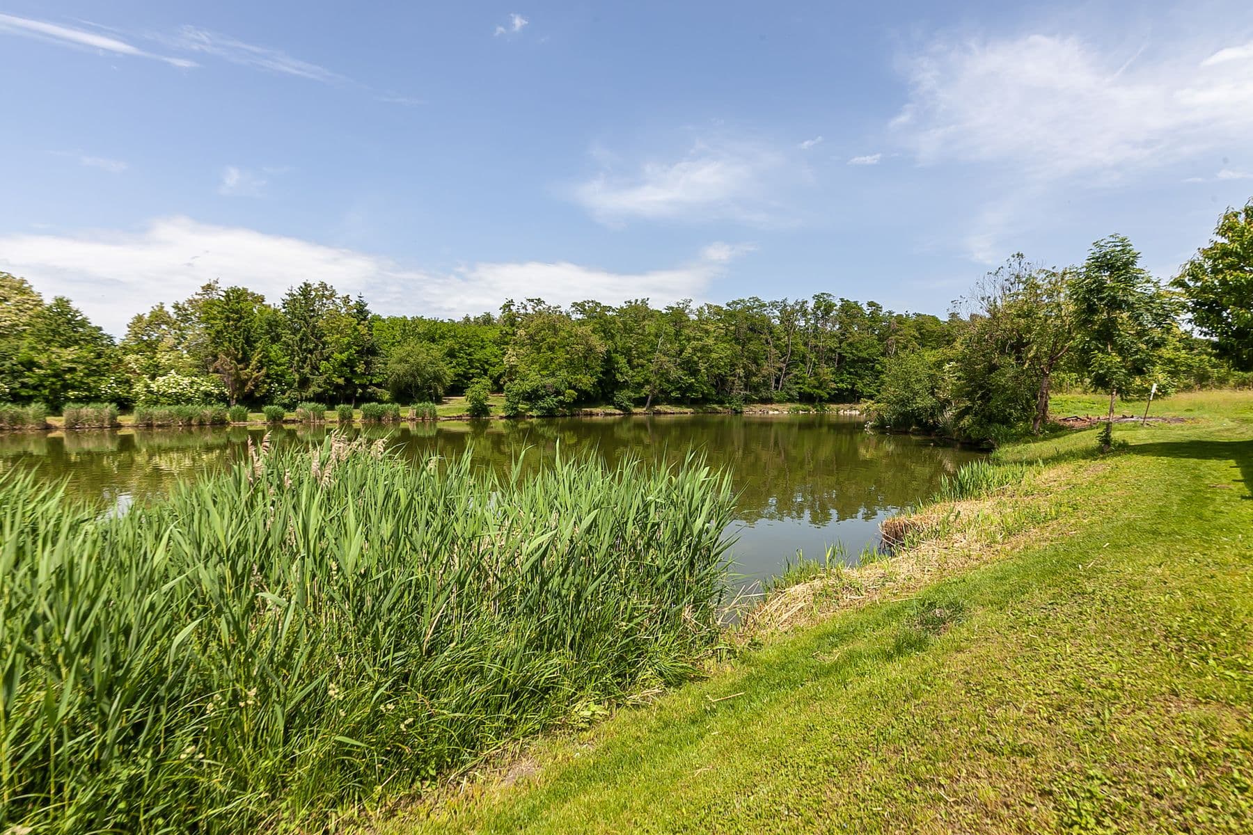 Prodej pozemku 1.636 m², Odolena Voda, Středočeský kraj Prodej pozemku 1.636 m², Odolena Voda, Středočeský kraj