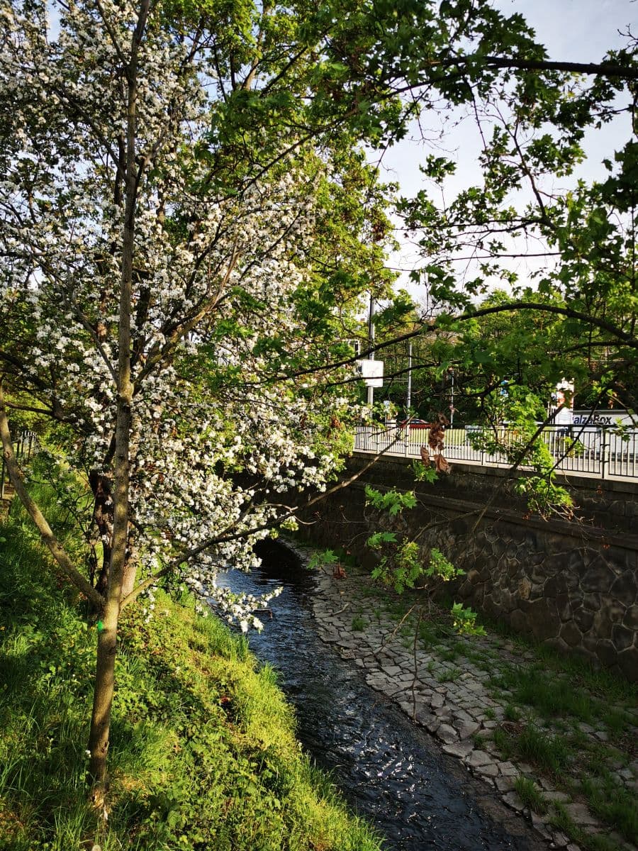 Pronájem bytu 50 m², Závišova a, Praha, Praha Pronájem bytu 50 m², Závišova a, Praha, Praha