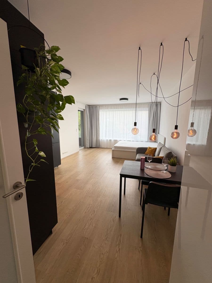Pronájem bytu 1+kk 40 m², Skálové, Praha, Praha Pronájem bytu 1+kk 40 m², Skálové, Praha, Praha