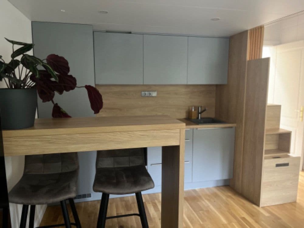 Pronájem bytu 1+kk 26 m², Vítkova, Praha, Praha Pronájem bytu 1+kk 26 m², Vítkova, Praha, Praha