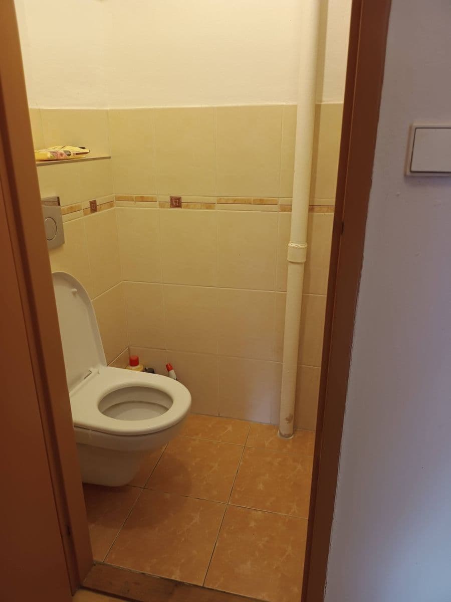 Pronájem bytu 1+1 48 m², Dačického, Praha, Praha Pronájem bytu 1+1 48 m², Dačického, Praha, Praha