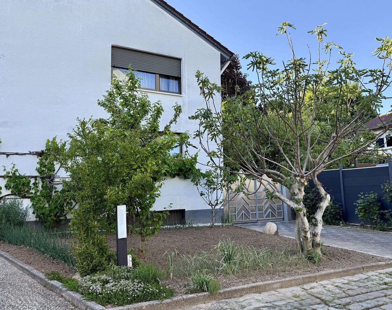 Prodej domu 293 m², pozemek 1.000 m², Nieder-Olm, Porýní-Falc Prodej domu 293 m², pozemek 1.000 m², Nieder-Olm, Porýní-Falc