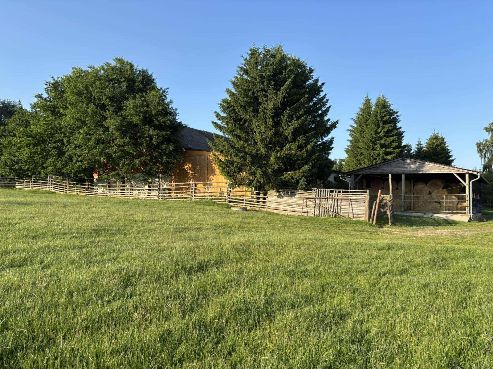 Prodej pozemku 420.000 m², Jirákova, Černovice, Kraj Vysočina Prodej pozemku 420.000 m², Jirákova, Černovice, Kraj Vysočina