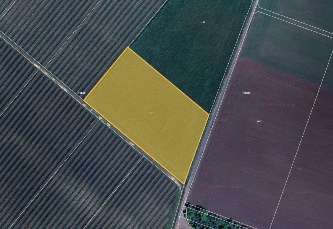 Prodej pozemku 3.547 m², Borotice, Jihomoravský kraj Prodej pozemku 3.547 m², Borotice, Jihomoravský kraj