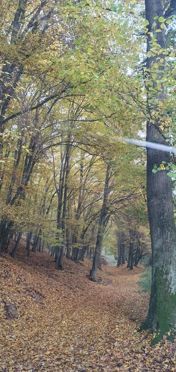 Prodej chaty, chalupy 46 m², pozemek 900 m², Bratřínov, Středočeský kraj Prodej chaty, chalupy 46 m², pozemek 900 m², Bratřínov, Středočeský kraj