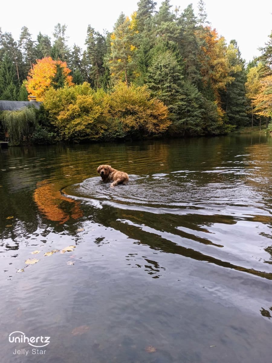 Prodej pozemku 1.400 m², Vrábče, Jihočeský kraj Prodej pozemku 1.400 m², Vrábče, Jihočeský kraj