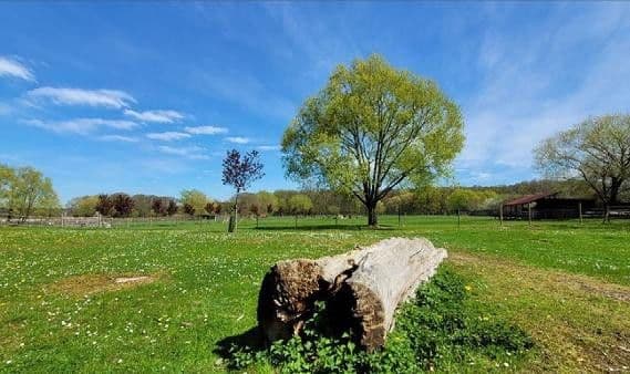Prodej domu 704 m², pozemek 41.670 m², Niederkrüchten, Severní Porýní-Vestfálsko Prodej domu 704 m², pozemek 41.670 m², Niederkrüchten, Severní Porýní-Vestfálsko