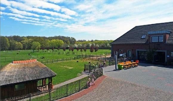 Prodej domu 704 m², pozemek 41.670 m², Niederkrüchten, Severní Porýní-Vestfálsko Prodej domu 704 m², pozemek 41.670 m², Niederkrüchten, Severní Porýní-Vestfálsko