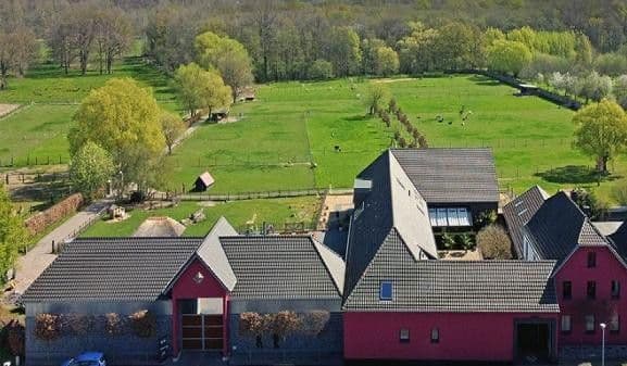 Prodej domu 704 m², pozemek 41.670 m², Niederkrüchten, Severní Porýní-Vestfálsko Prodej domu 704 m², pozemek 41.670 m², Niederkrüchten, Severní Porýní-Vestfálsko