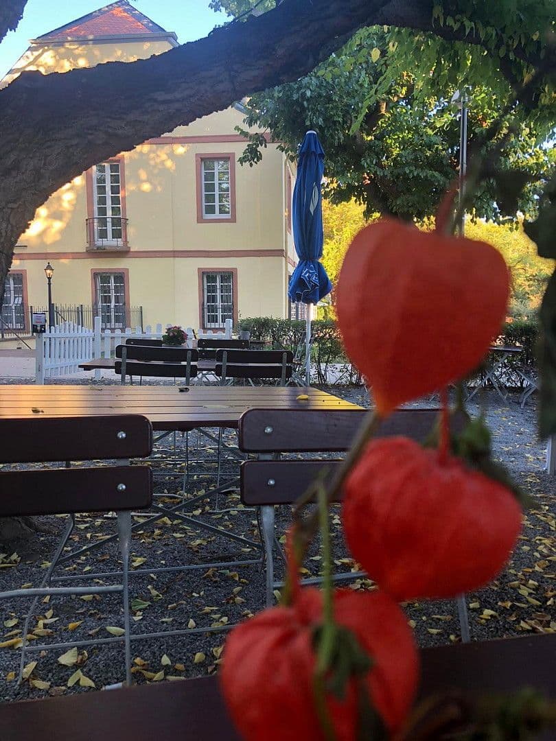 Prodej domu 810 m², pozemek 710 m², Rheingönheimerstraße 98, Ludwigshafen, Porýní-Falc Prodej domu 810 m², pozemek 710 m², Rheingönheimerstraße 98, Ludwigshafen, Porýní-Falc