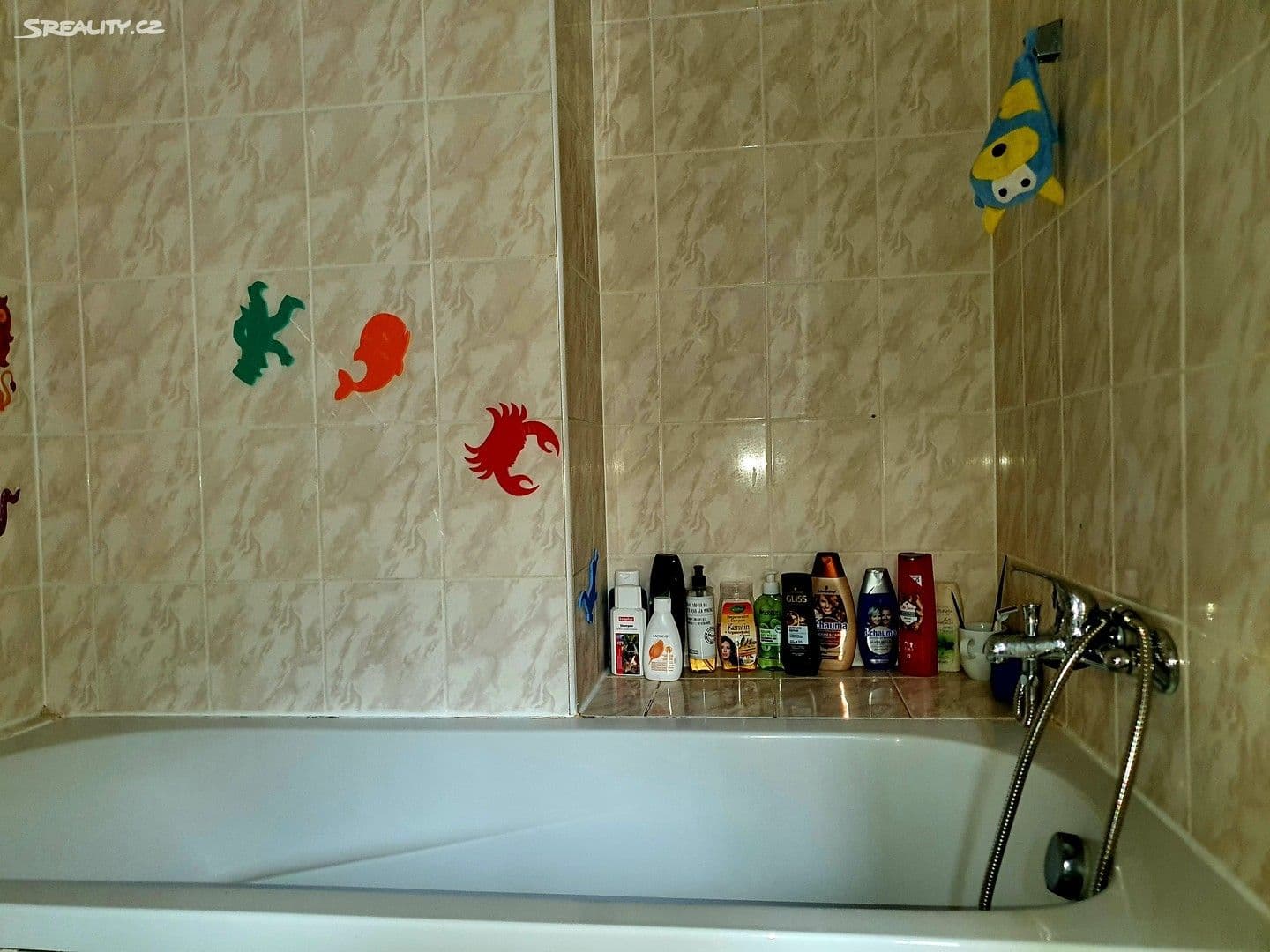 Pronájem bytu 2+1 60 m², Opletalova, Adamov, Jihomoravský kraj Pronájem bytu 2+1 60 m², Opletalova, Adamov, Jihomoravský kraj