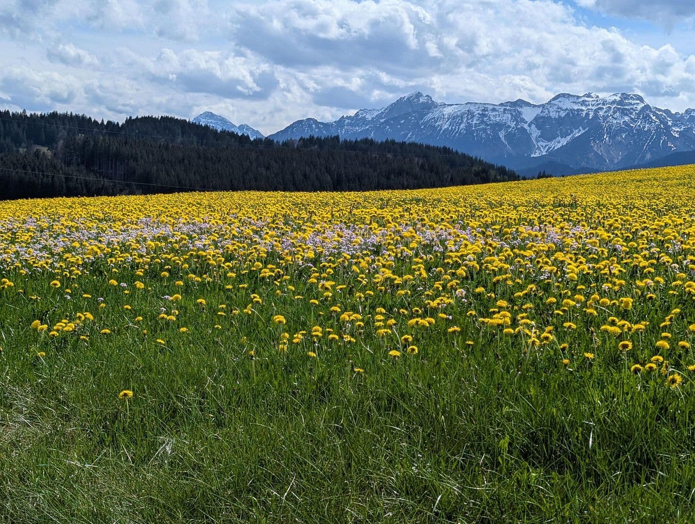 Prodej domu 35 m², pozemek 2.121 m², WiesleutenerStraße 9, Seeg, Bavorsko Prodej domu 35 m², pozemek 2.121 m², WiesleutenerStraße 9, Seeg, Bavorsko