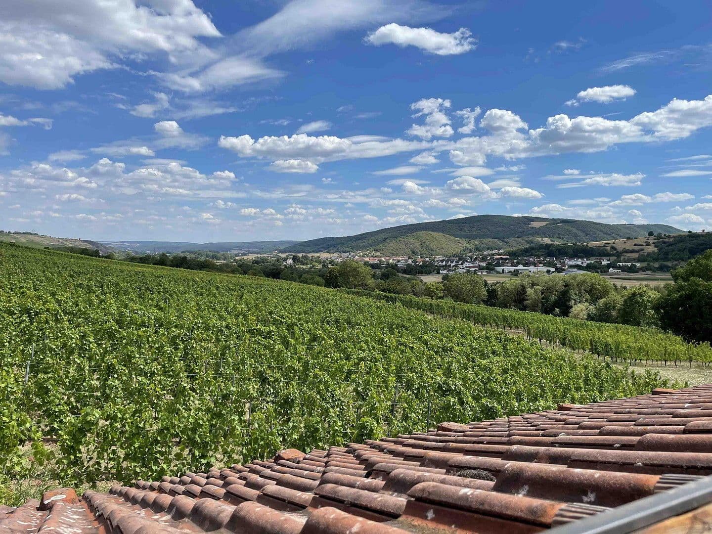 Prodej domu 408 m², pozemek 1.077 m², Martinstein, Porýní-Falc Prodej domu 408 m², pozemek 1.077 m², Martinstein, Porýní-Falc