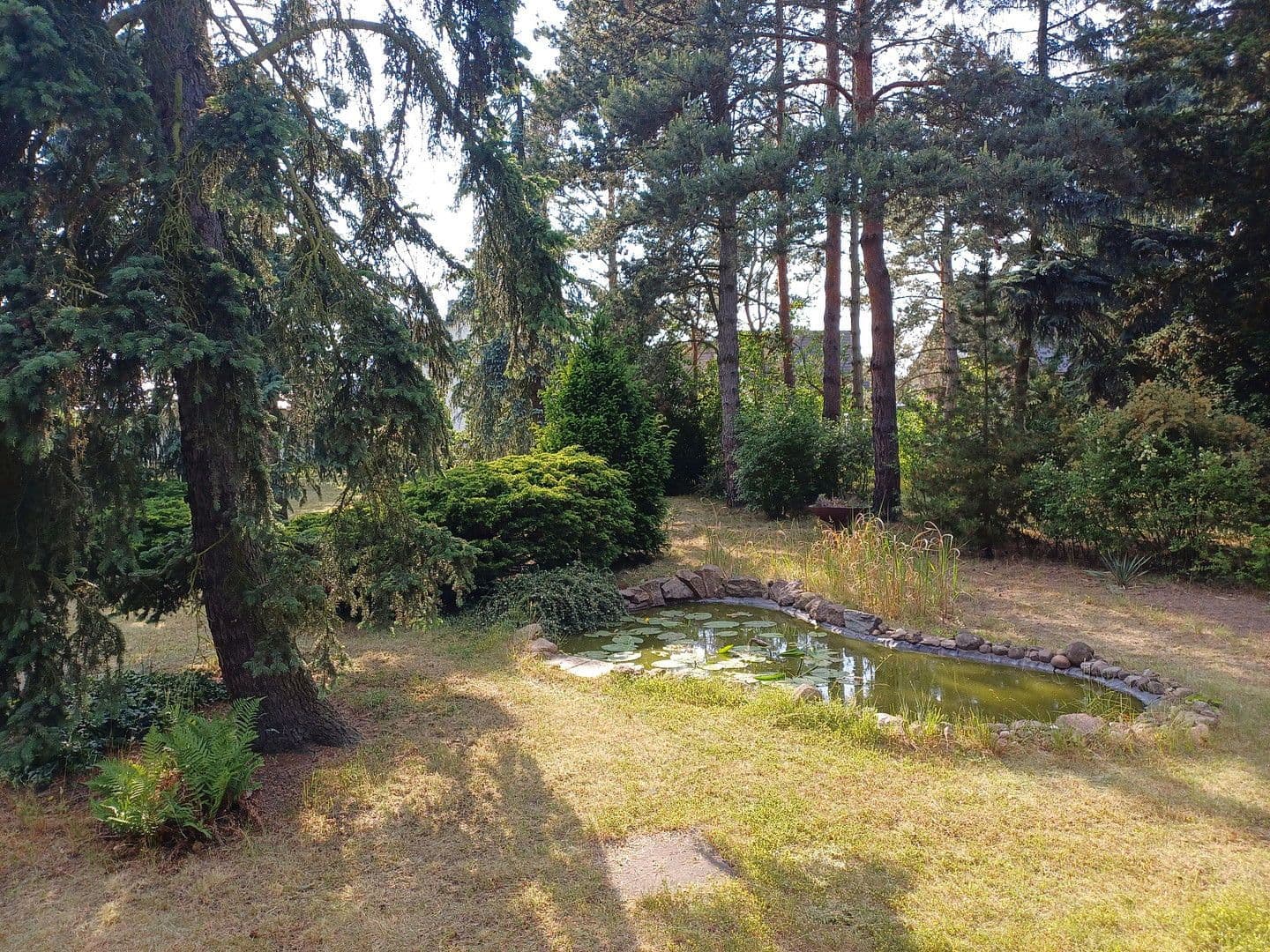 Prodej domu 115 m², pozemek 1.902 m², Großräschen, Braniborsko Prodej domu 115 m², pozemek 1.902 m², Großräschen, Braniborsko