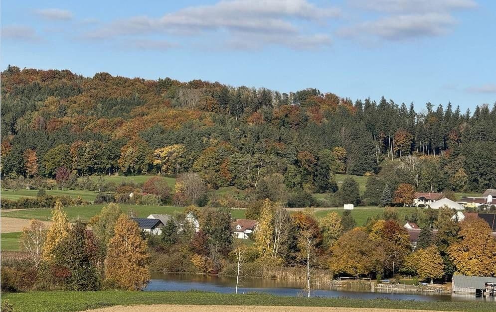 Prodej domu 228 m², pozemek 626 m², Wilhelmsdorf, Bádensko-Württembersko Prodej domu 228 m², pozemek 626 m², Wilhelmsdorf, Bádensko-Württembersko