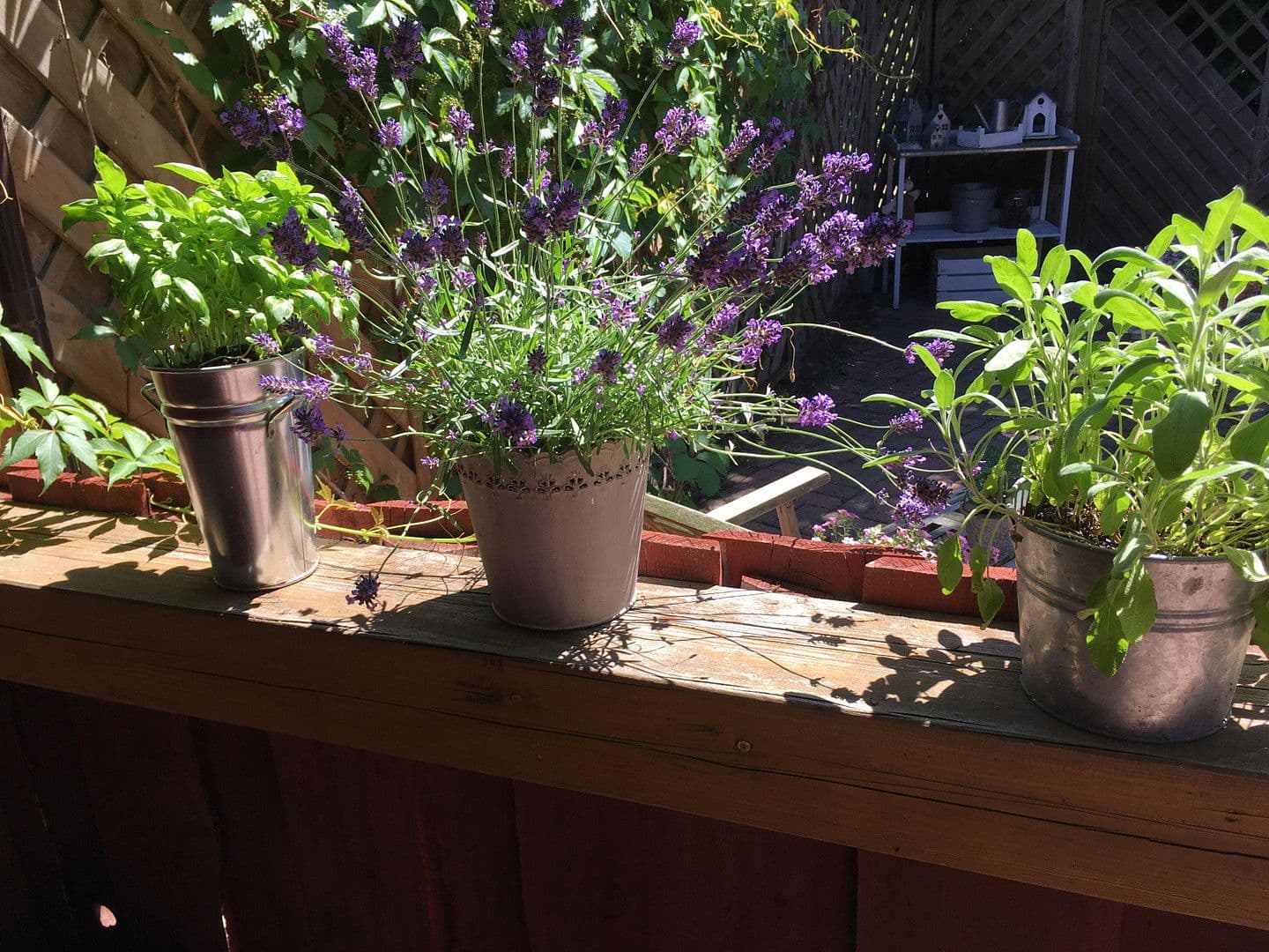 Prodej domu 242 m², pozemek 920 m², Bargstedt, Dolní Sasko Prodej domu 242 m², pozemek 920 m², Bargstedt, Dolní Sasko