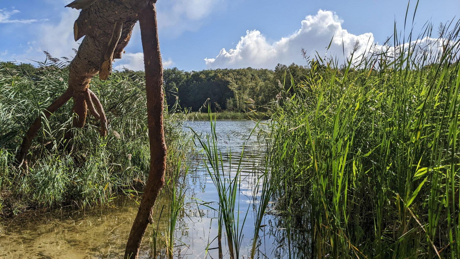 Prodej domu 105 m², pozemek 1.394 m², Gramzow, Braniborsko Prodej domu 105 m², pozemek 1.394 m², Gramzow, Braniborsko