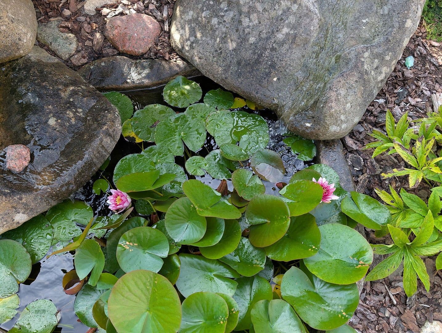 Prodej domu 105 m², pozemek 1.394 m², Gramzow, Braniborsko Prodej domu 105 m², pozemek 1.394 m², Gramzow, Braniborsko