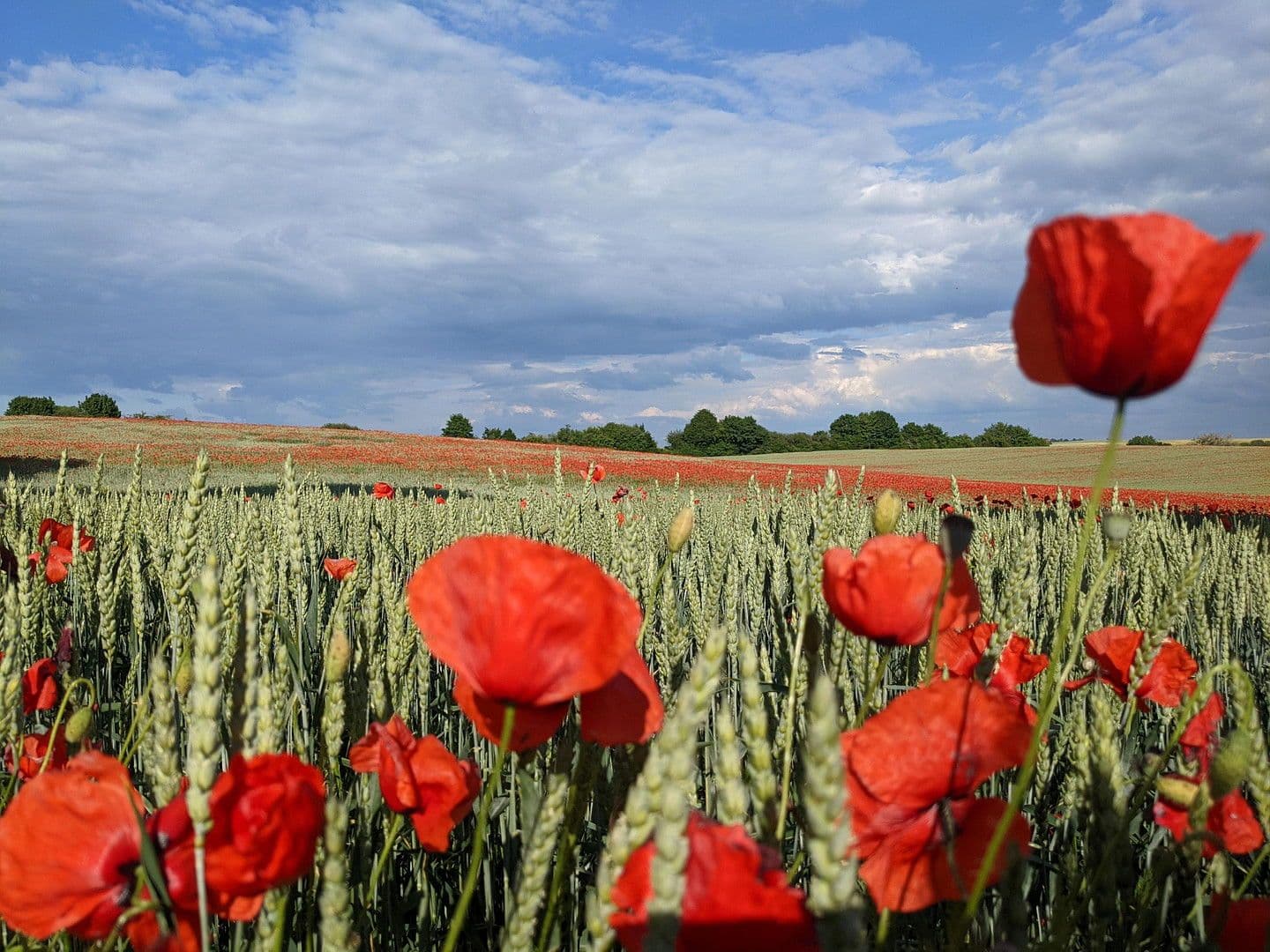 Prodej domu 105 m², pozemek 1.394 m², Gramzow, Braniborsko Prodej domu 105 m², pozemek 1.394 m², Gramzow, Braniborsko