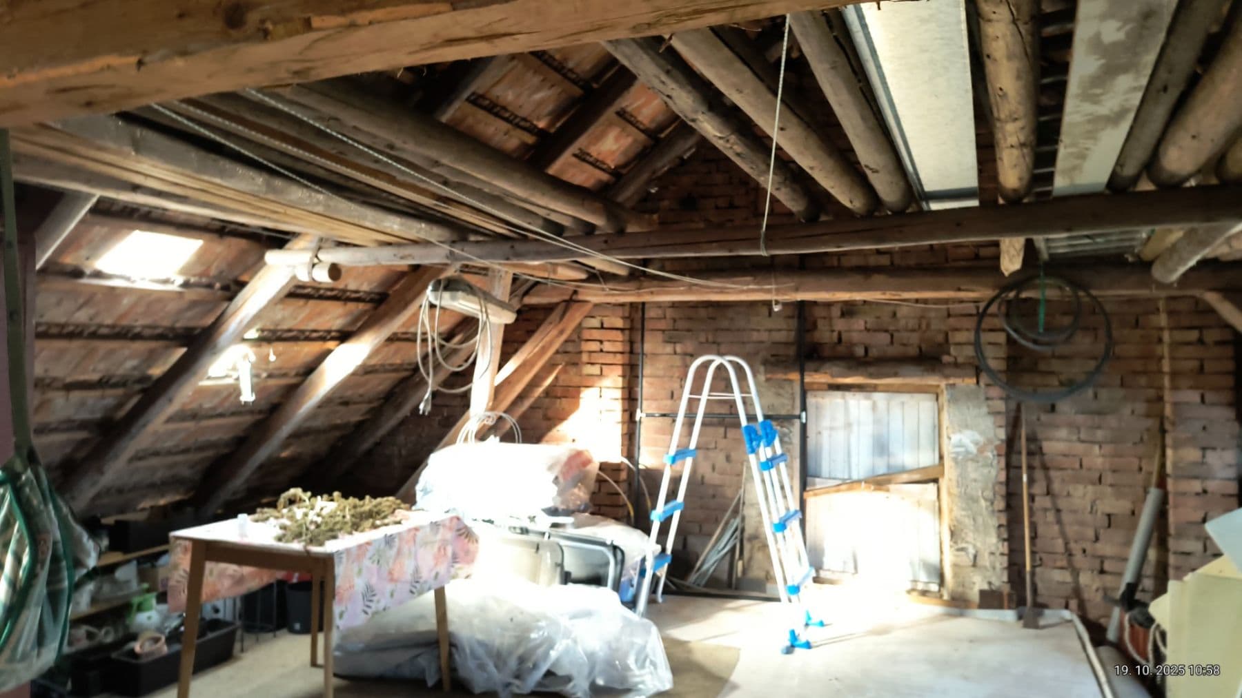 Prodej chaty, chalupy 100 m², pozemek 800 m², Luže, Pardubický kraj Prodej chaty, chalupy 100 m², pozemek 800 m², Luže, Pardubický kraj