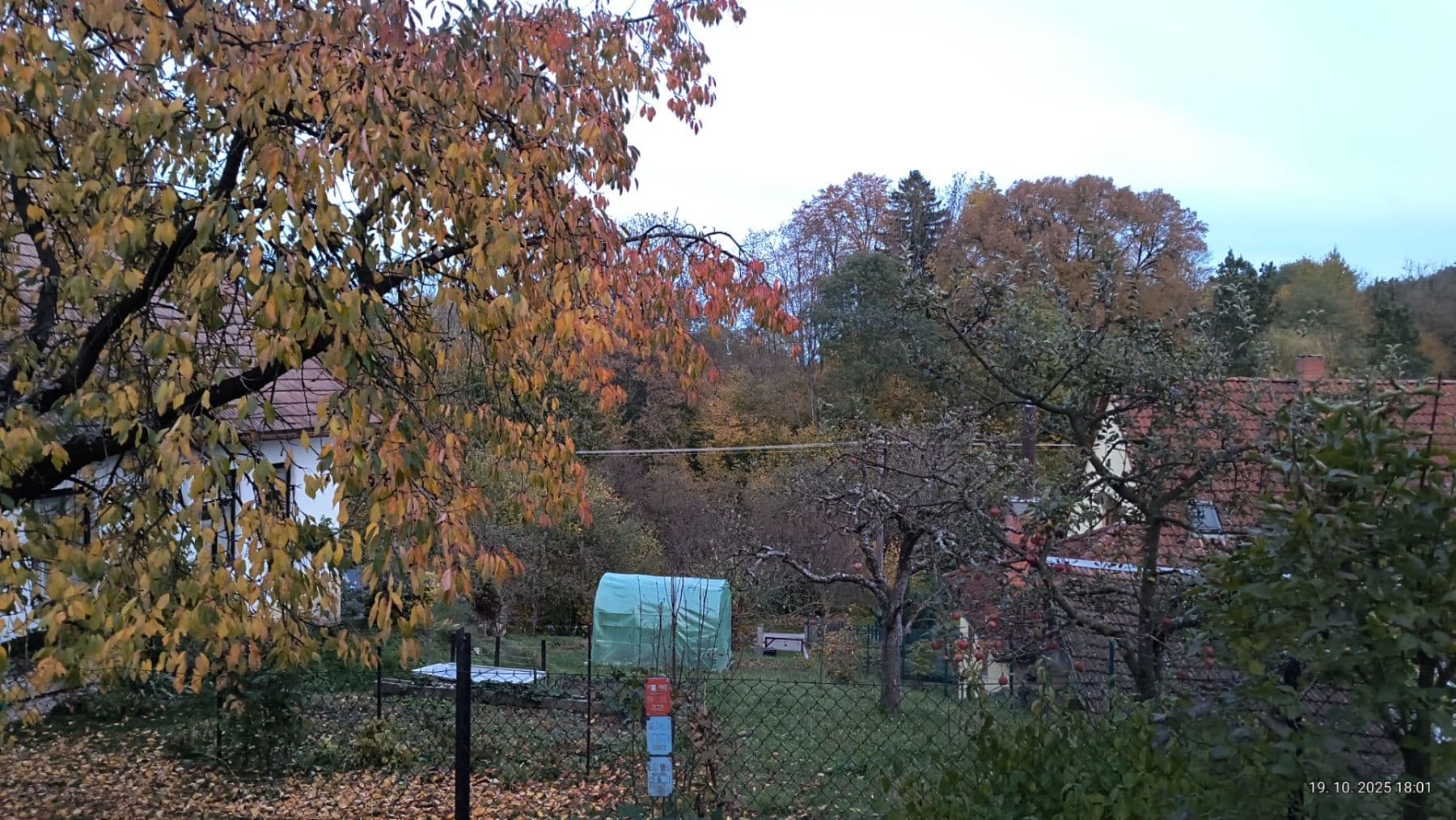 Prodej chaty, chalupy 100 m², pozemek 800 m², Luže, Pardubický kraj Prodej chaty, chalupy 100 m², pozemek 800 m², Luže, Pardubický kraj