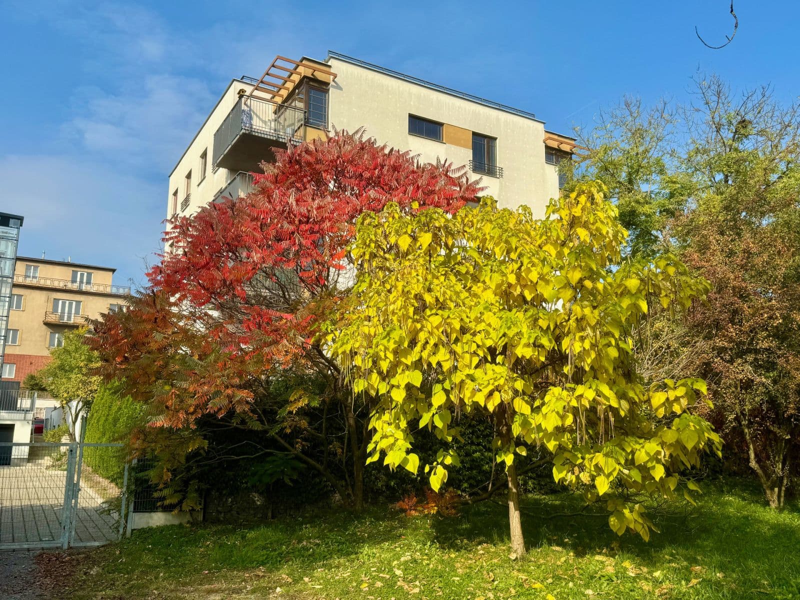 Prodej bytu 2+kk 51 m², Nad Rokoskou, Praha, Praha Prodej bytu 2+kk 51 m², Nad Rokoskou, Praha, Praha