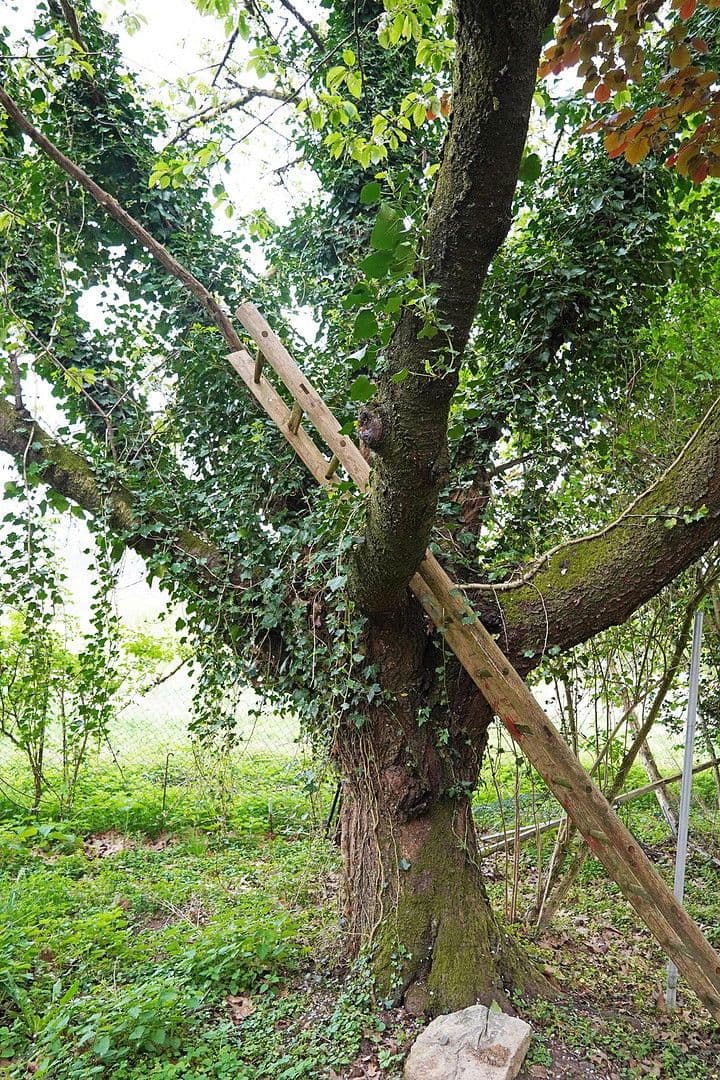 Prodej domu 171 m², pozemek 3.806 m², Untersteinbach 1, Bergisch Gladbach, Severní Porýní-Vestfálsko Prodej domu 171 m², pozemek 3.806 m², Untersteinbach 1, Bergisch Gladbach, Severní Porýní-Vestfálsko