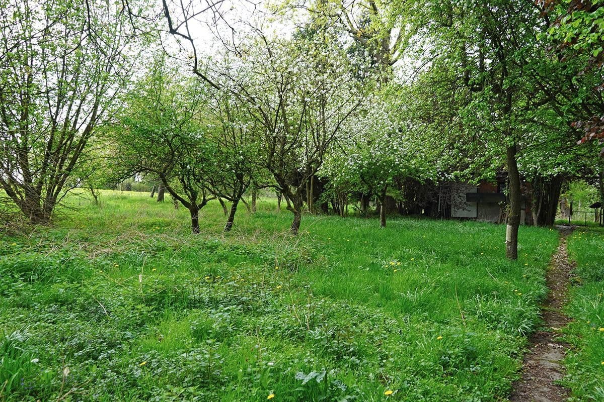 Prodej domu 171 m², pozemek 3.806 m², Untersteinbach 1, Bergisch Gladbach, Severní Porýní-Vestfálsko Prodej domu 171 m², pozemek 3.806 m², Untersteinbach 1, Bergisch Gladbach, Severní Porýní-Vestfálsko