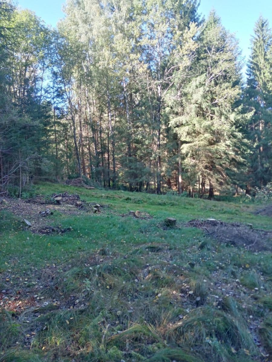 Prodej pozemku 765 m², Frymburk, Jihočeský kraj Prodej pozemku 765 m², Frymburk, Jihočeský kraj