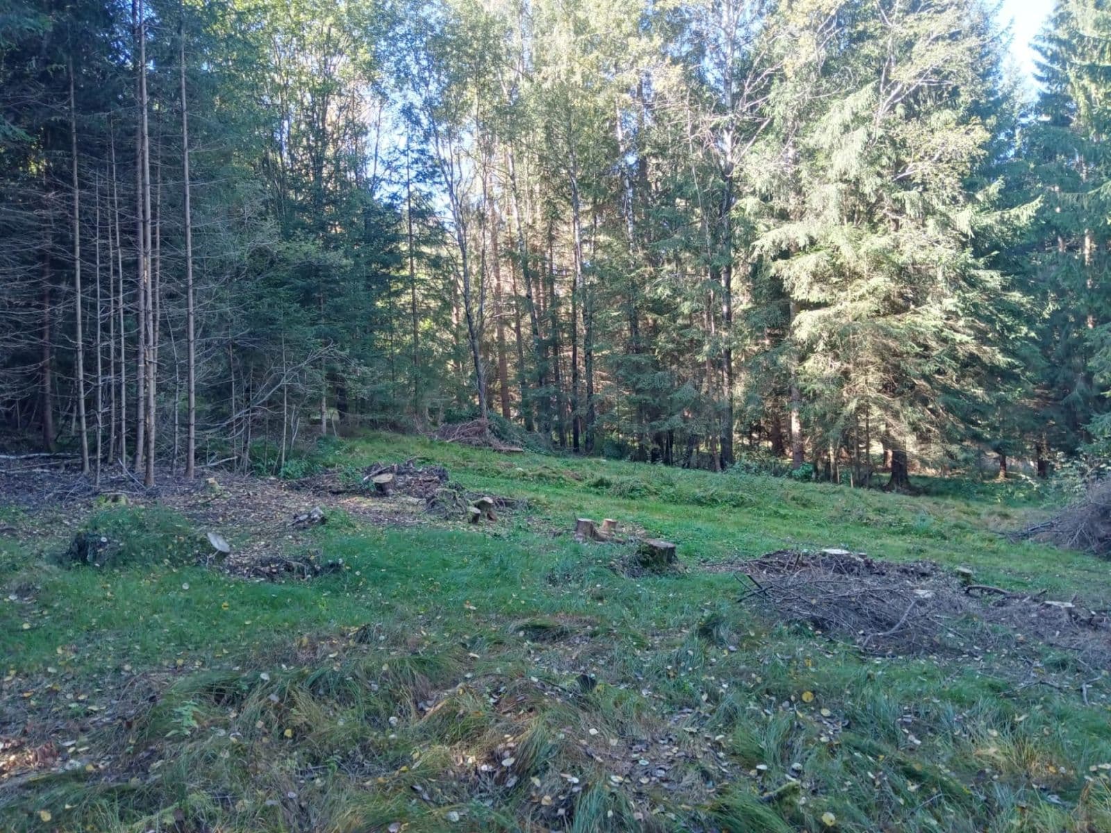 Prodej pozemku 765 m², Frymburk, Jihočeský kraj Prodej pozemku 765 m², Frymburk, Jihočeský kraj