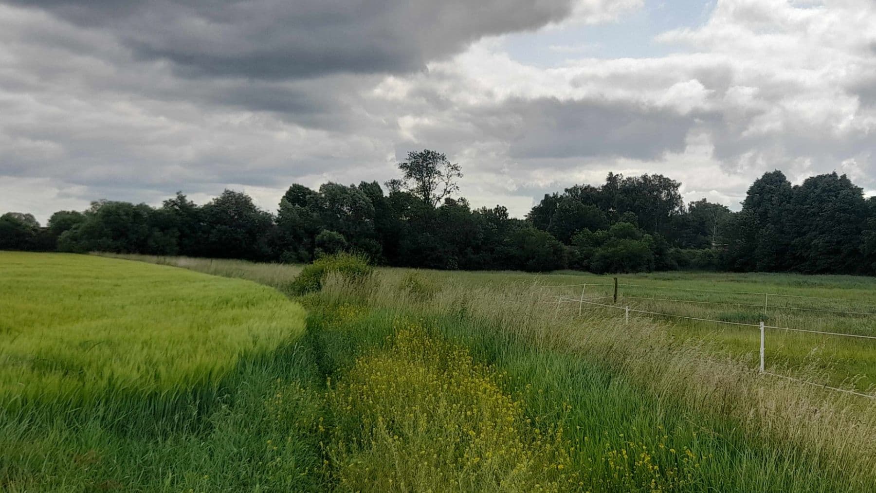 Prodej pozemku 2.900 m², Čachovice, Středočeský kraj Prodej pozemku 2.900 m², Čachovice, Středočeský kraj