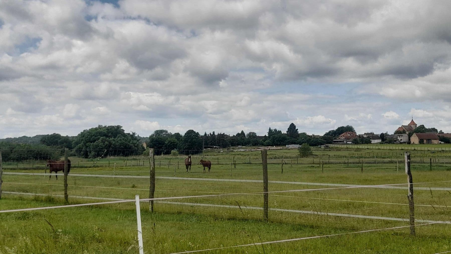 Prodej pozemku 2.900 m², Čachovice, Středočeský kraj Prodej pozemku 2.900 m², Čachovice, Středočeský kraj