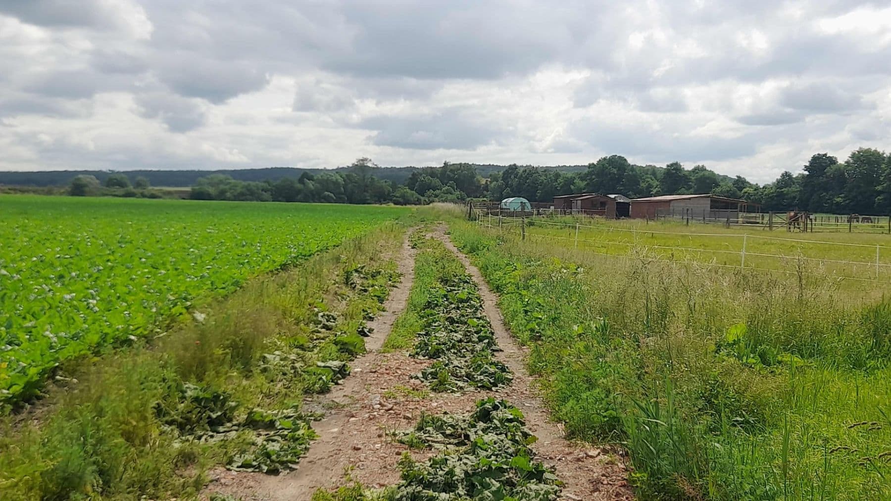 Prodej pozemku 2.900 m², Čachovice, Středočeský kraj Prodej pozemku 2.900 m², Čachovice, Středočeský kraj