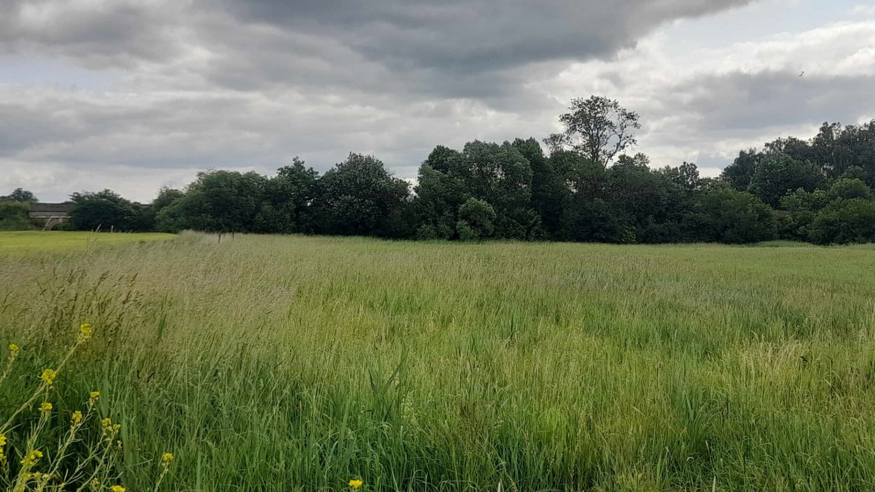 Prodej pozemku 2.900 m², Čachovice, Středočeský kraj Prodej pozemku 2.900 m², Čachovice, Středočeský kraj