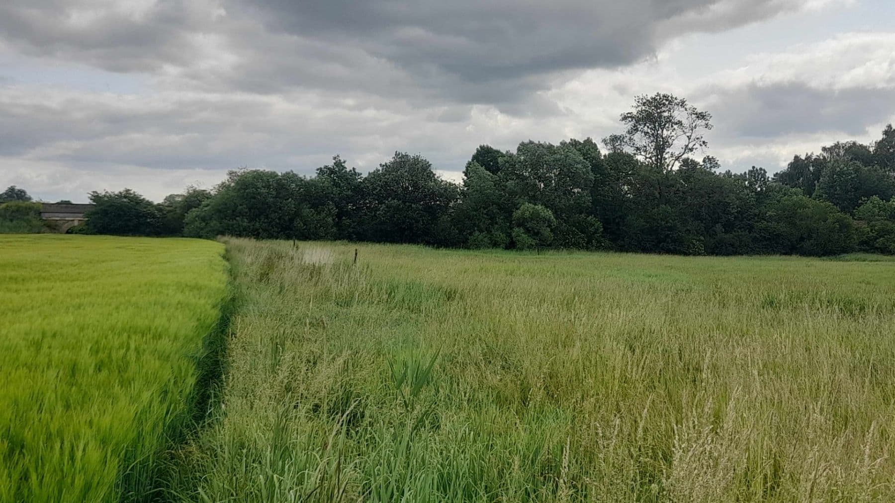 Prodej pozemku 2.900 m², Čachovice, Středočeský kraj Prodej pozemku 2.900 m², Čachovice, Středočeský kraj