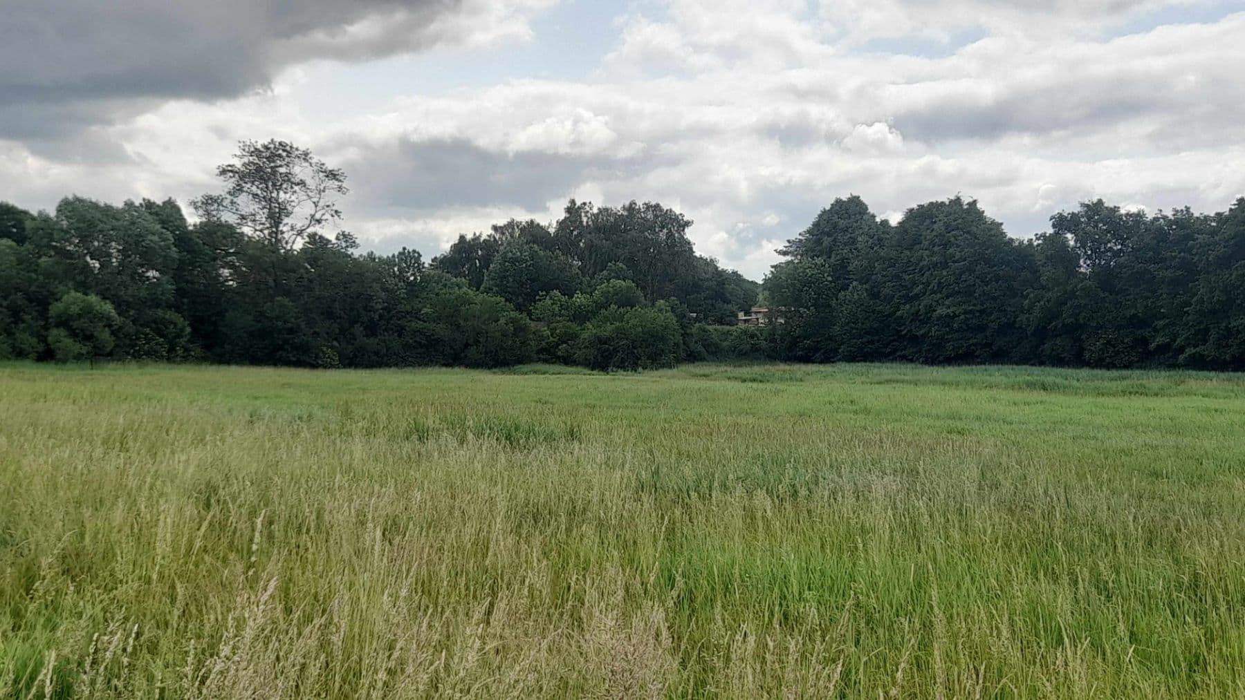 Prodej pozemku 2.900 m², Čachovice, Středočeský kraj Prodej pozemku 2.900 m², Čachovice, Středočeský kraj
