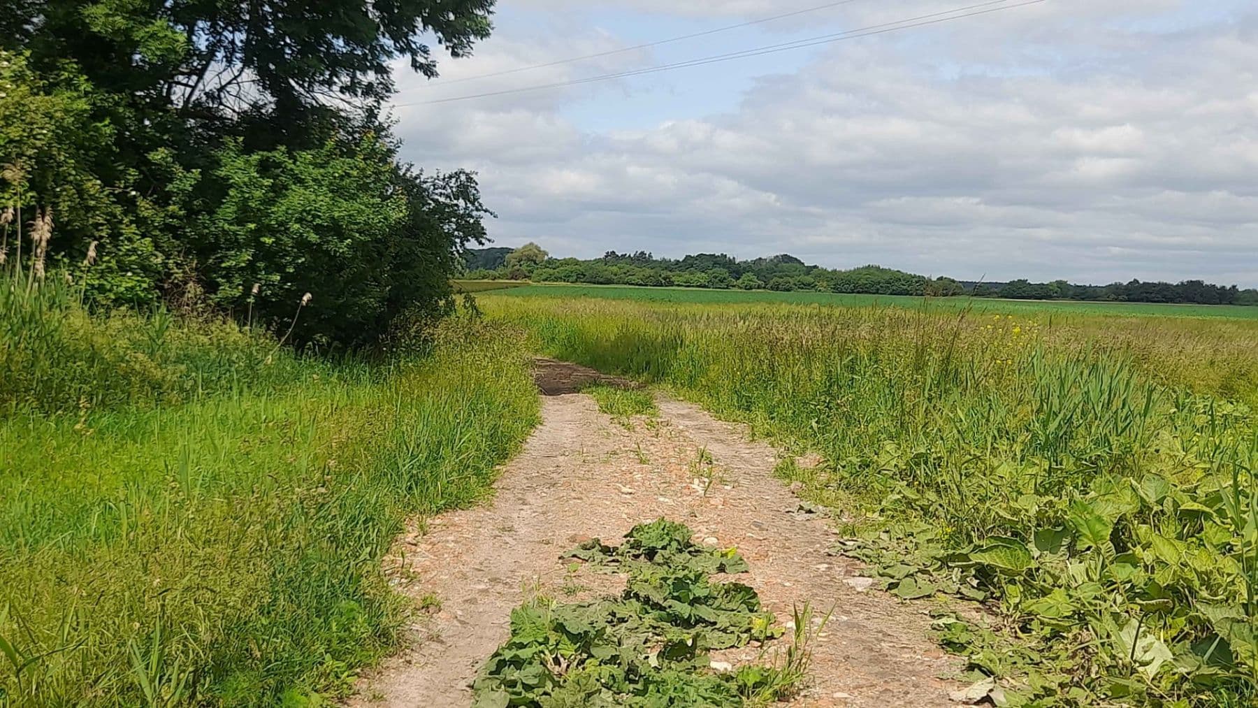 Prodej pozemku 2.900 m², Čachovice, Středočeský kraj Prodej pozemku 2.900 m², Čachovice, Středočeský kraj