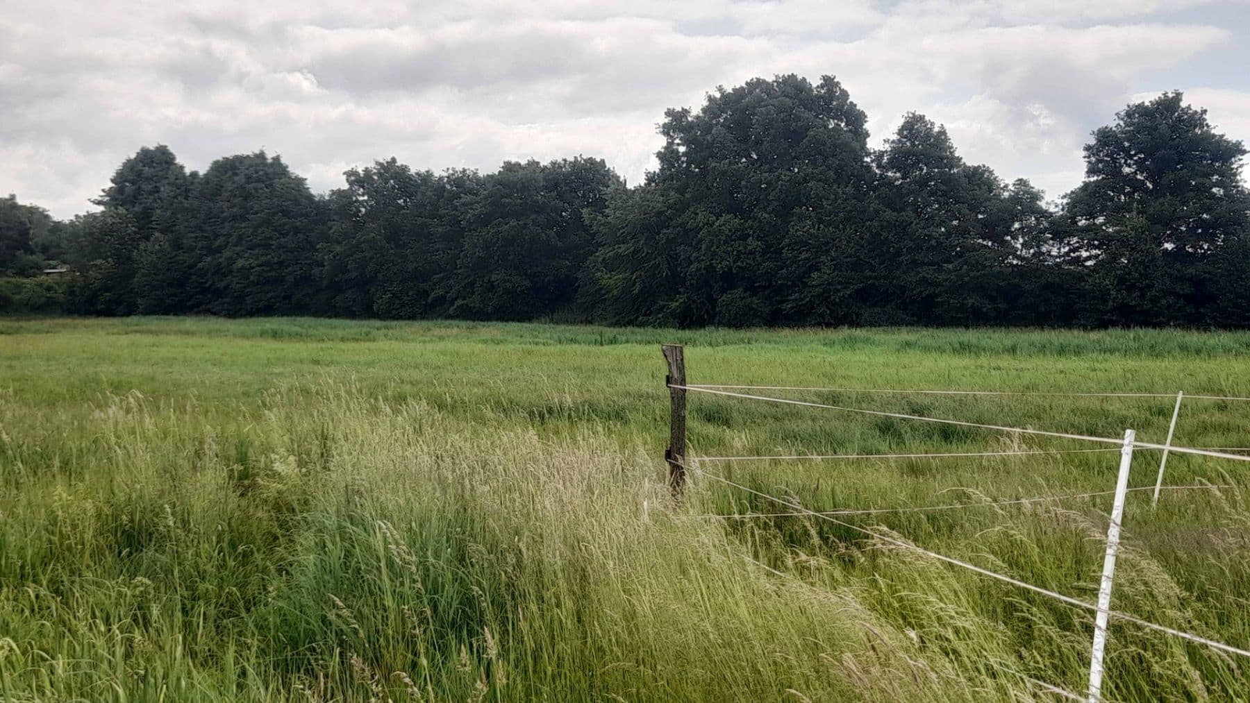 Prodej pozemku 2.900 m², Čachovice, Středočeský kraj Prodej pozemku 2.900 m², Čachovice, Středočeský kraj