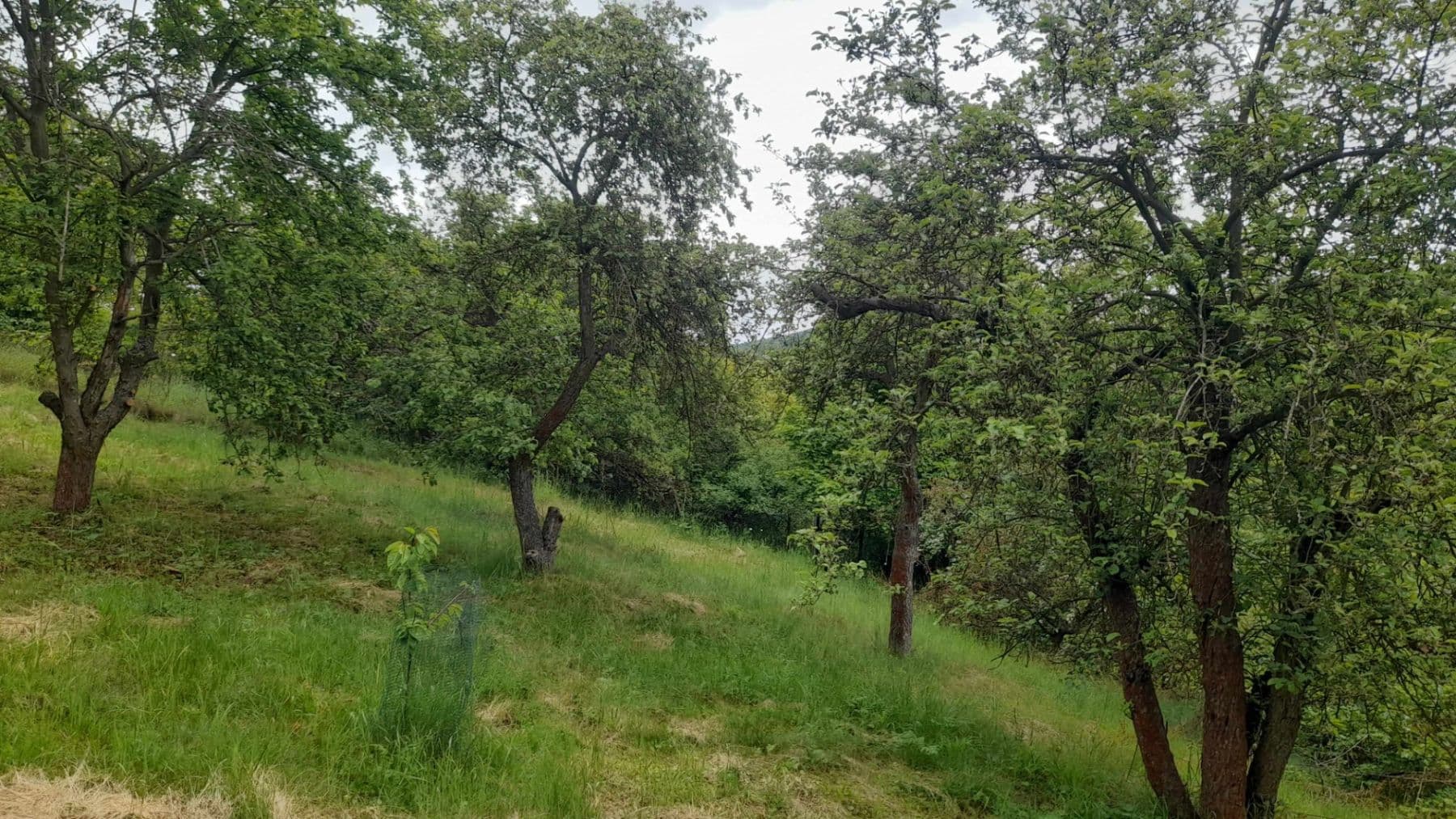 Prodej pozemku 227 m², Na Stráni, Krušovice, Středočeský kraj Prodej pozemku 227 m², Na Stráni, Krušovice, Středočeský kraj