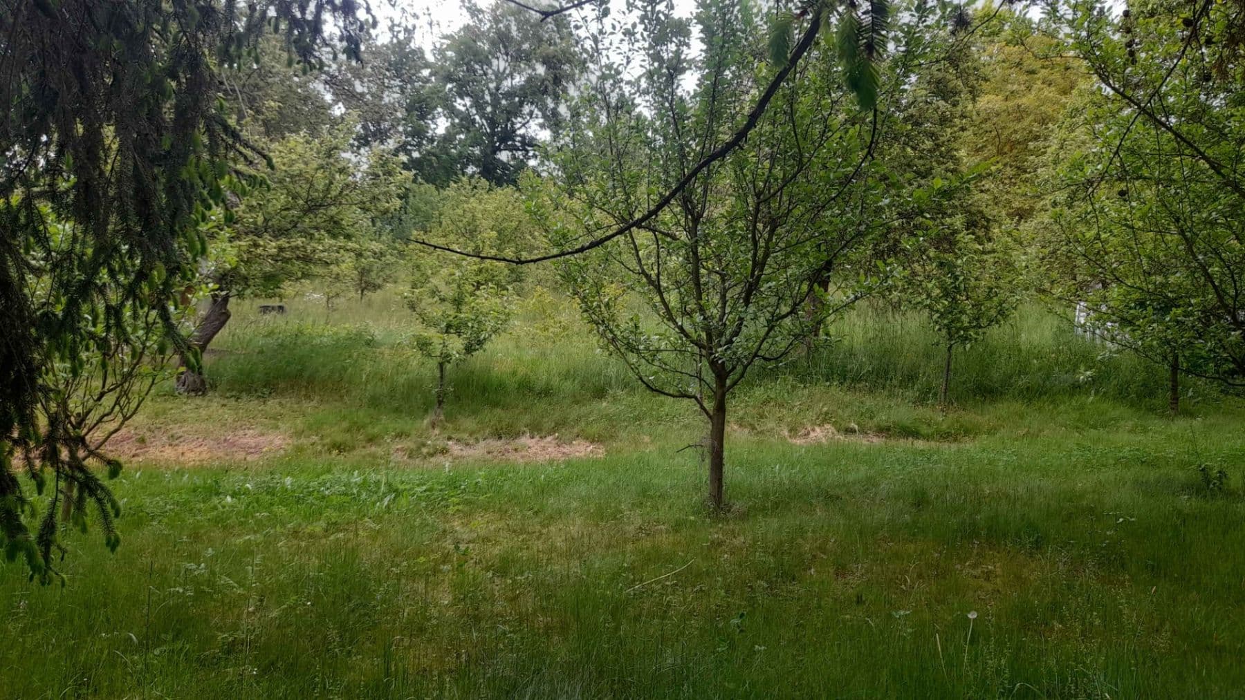 Prodej pozemku 227 m², Na Stráni, Krušovice, Středočeský kraj Prodej pozemku 227 m², Na Stráni, Krušovice, Středočeský kraj