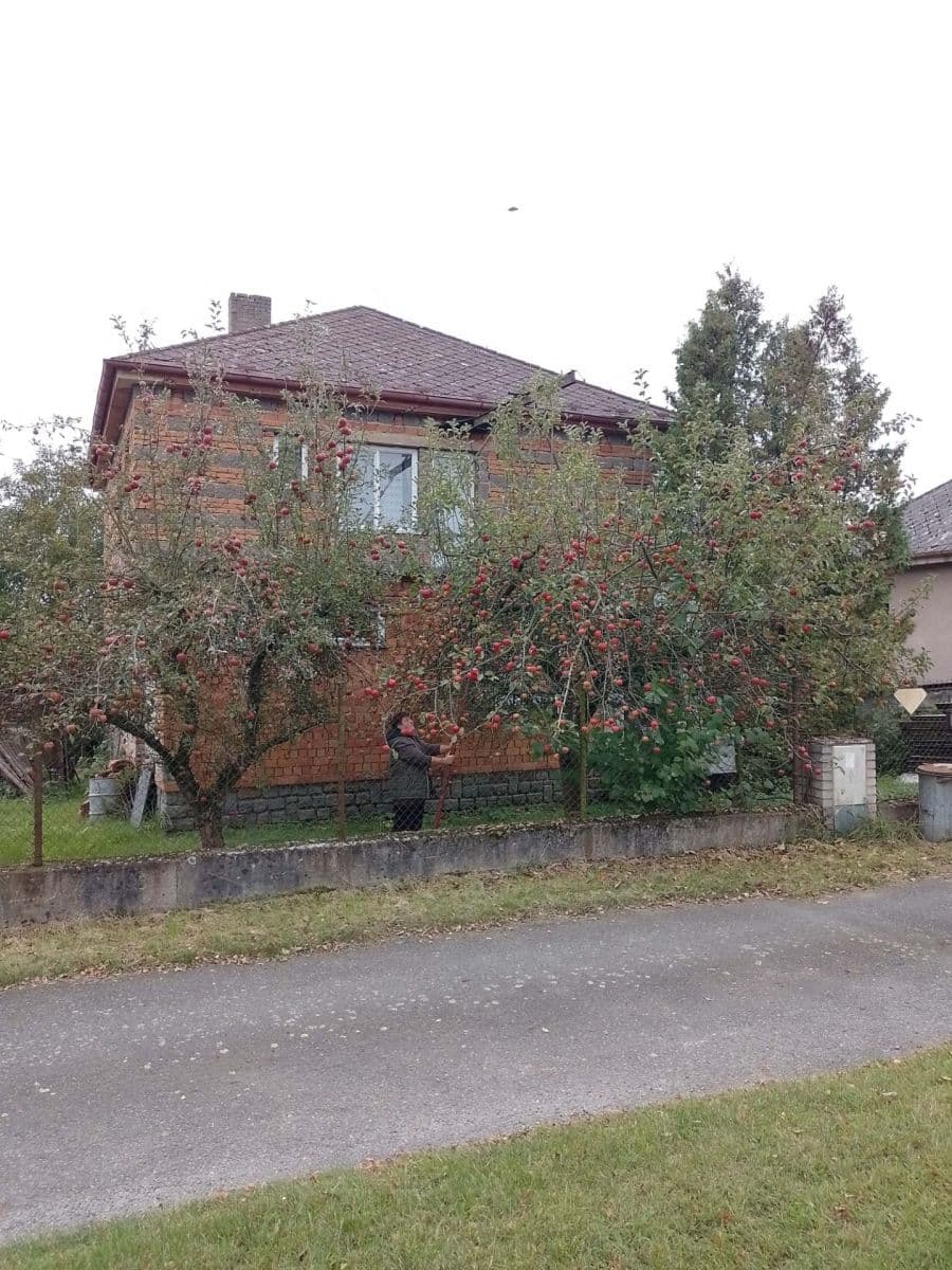 Prodej domu 230 m², pozemek 849 m², Čestín, Středočeský kraj Prodej domu 230 m², pozemek 849 m², Čestín, Středočeský kraj