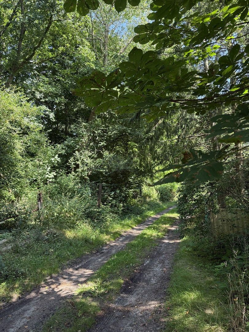 Prodej domu 120 m², pozemek 1.012 m², Süderlügum, Šlesvicko-Holštýnsko Prodej domu 120 m², pozemek 1.012 m², Süderlügum, Šlesvicko-Holštýnsko