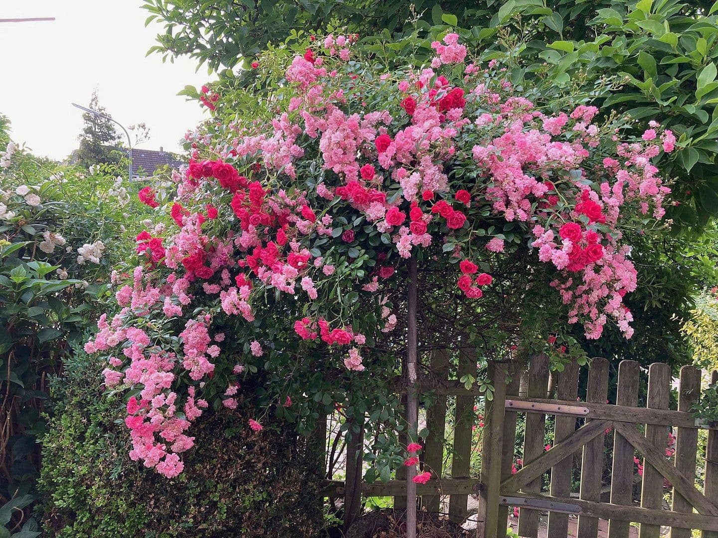 Pronájem bytu 1+1 25 m², Hamburg, Hamburg Pronájem bytu 1+1 25 m², Hamburg, Hamburg