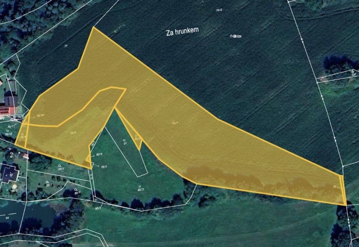 Prodej pozemku 11.585 m², Hrazany, Jihočeský kraj Prodej pozemku 11.585 m², Hrazany, Jihočeský kraj