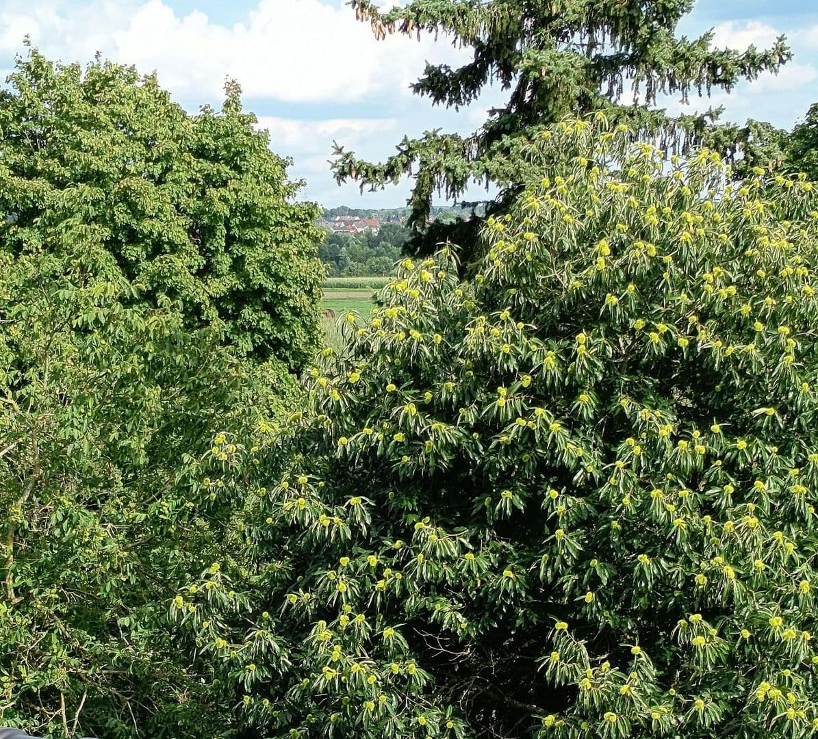 Pronájem bytu 2+1 75 m², Saarlouis, Země Sársko Pronájem bytu 2+1 75 m², Saarlouis, Země Sársko