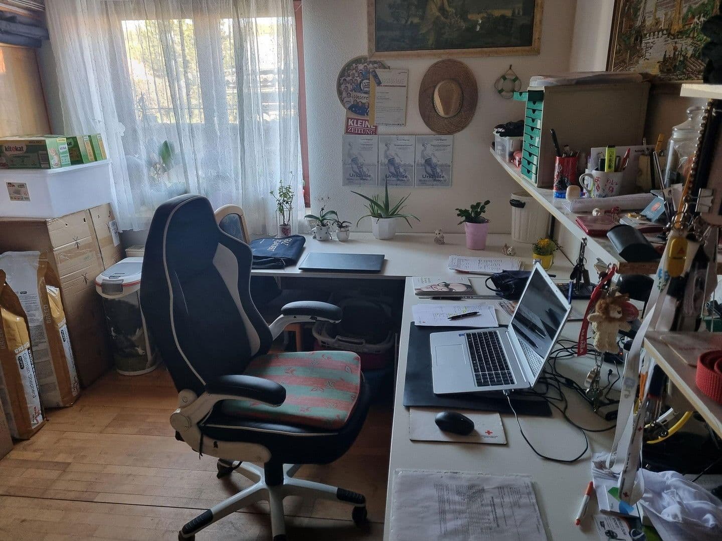 Prodej domu 300 m², pozemek 1.350 m², Wildon, Štýrsko Prodej domu 300 m², pozemek 1.350 m², Wildon, Štýrsko